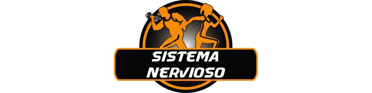 Sistema Nervioso