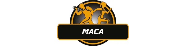 Maca